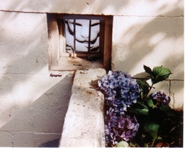 Image description