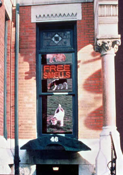 Image description